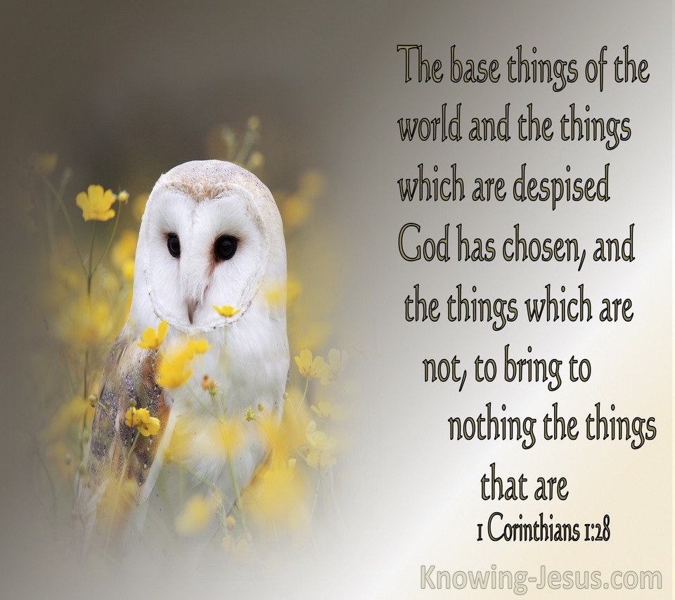 1 Corinthians 1:28 The Things Which Are Despised God Has Chosen (beige)